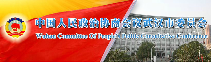 武汉市政协