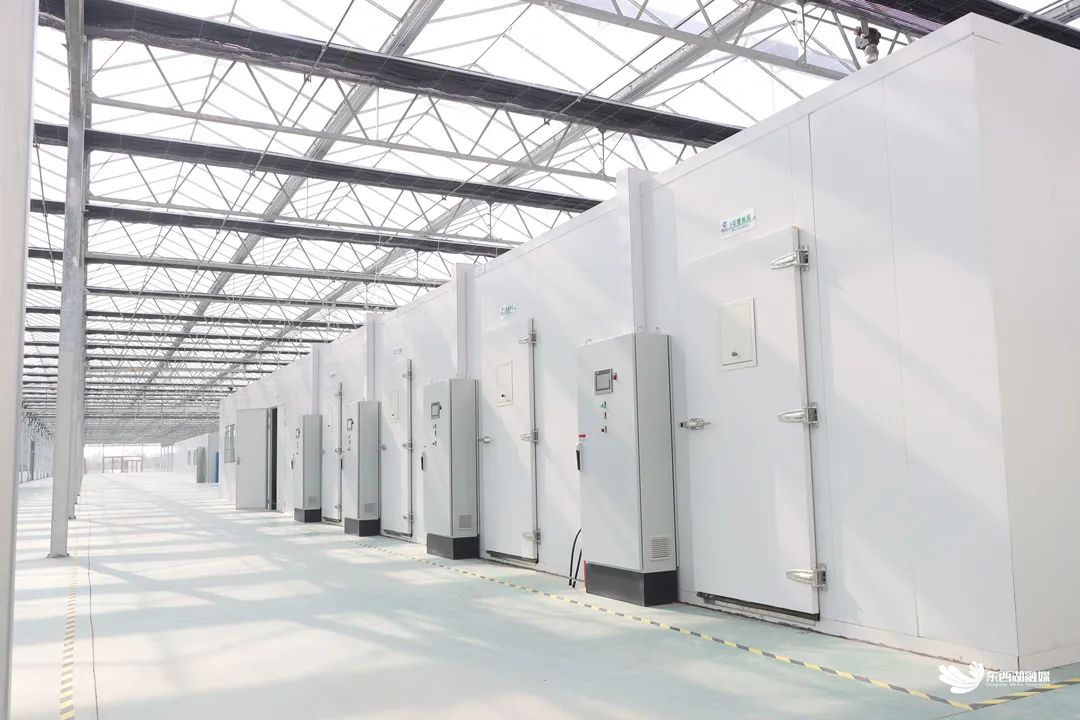 植物工厂的育苗室