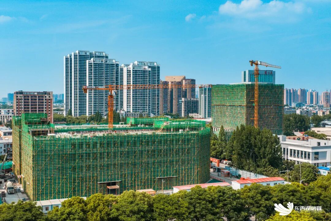 微信图片_2026-06-01_173354_003.jpg