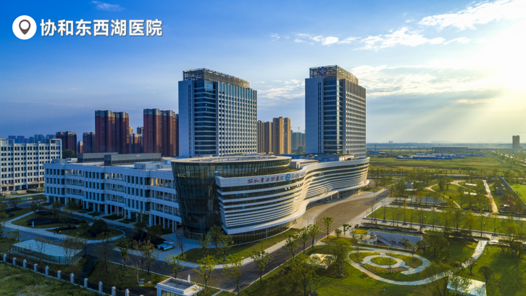 社会民生-社会民生-武汉市东西湖区人民政府-武汉临空港经济技术开发
