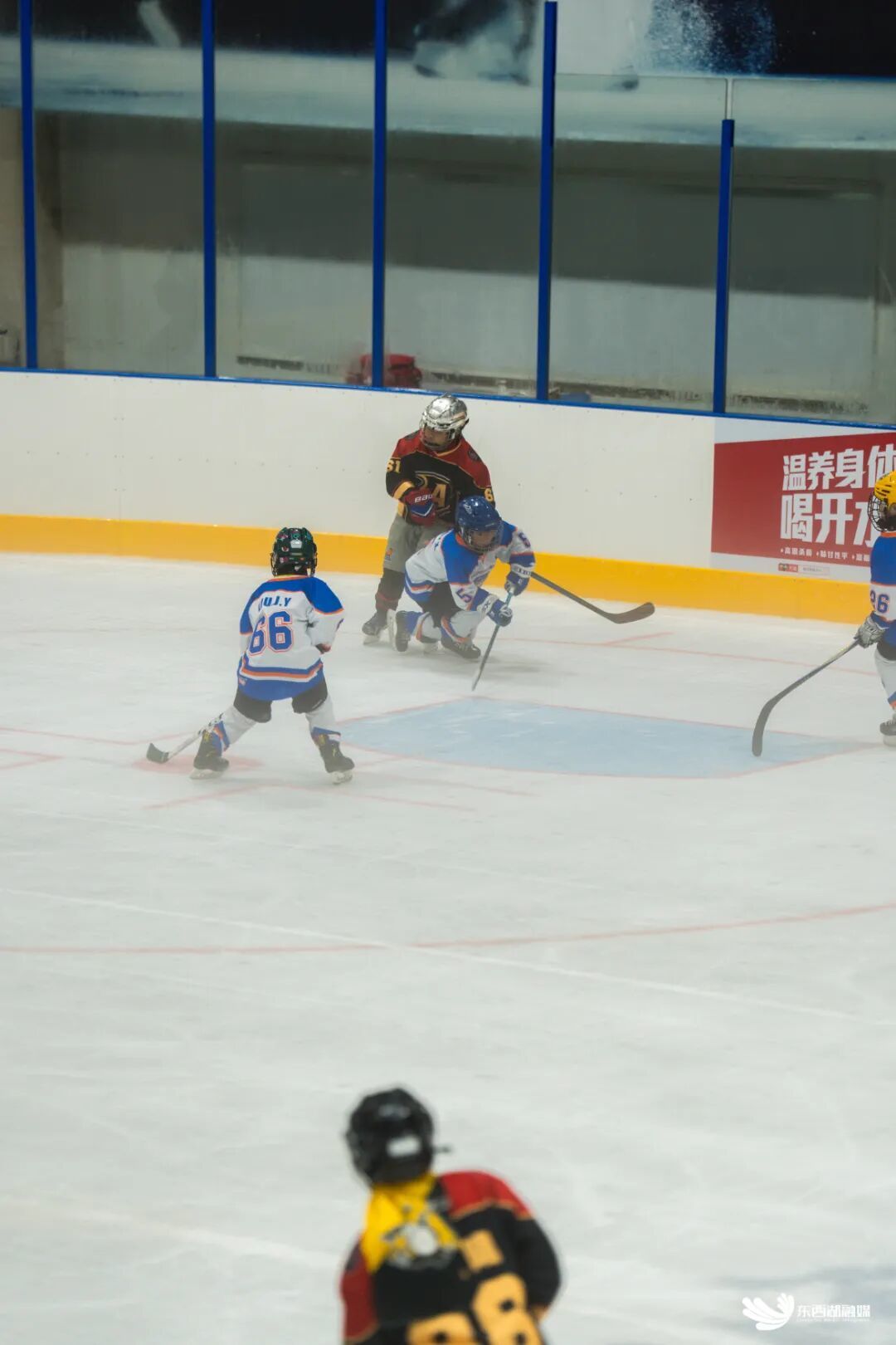 微信图片_2026-07-08_171535_620.jpg