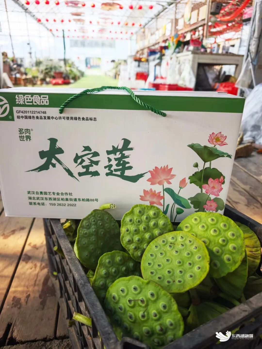 微信图片_2026-09-08_113135_982.jpg