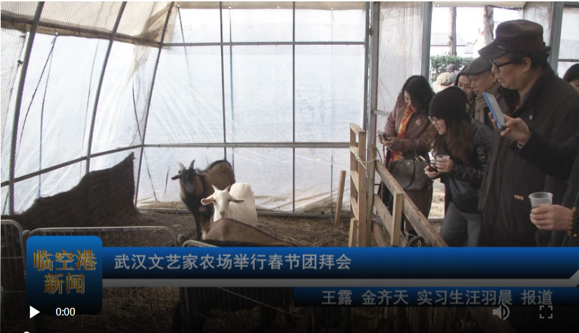 武汉文艺家农场举行春节团拜会