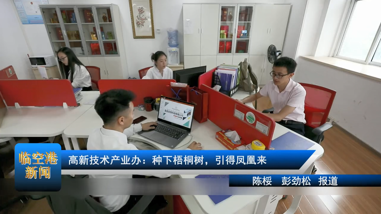 【高质量发展看临空】高新技术产业办：种下梧桐树，引得凤凰来