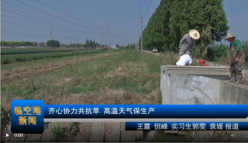 齐心协力共抗旱 高温天气保生产