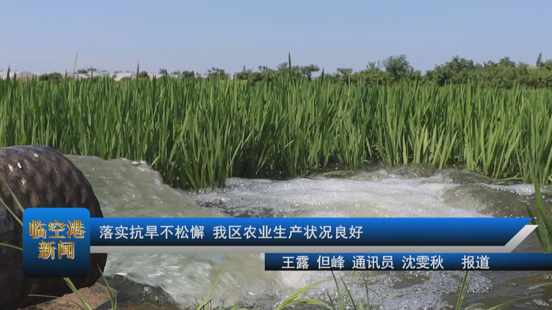 落实抗旱不松懈 我区农业生产状况良好