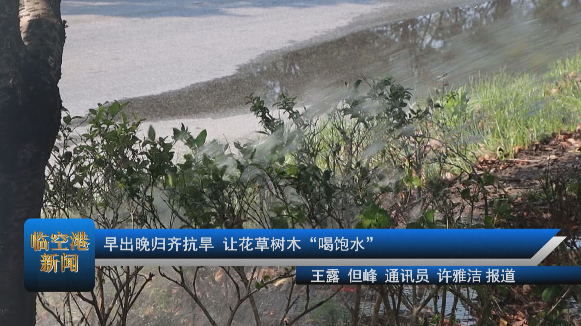 早出晚归齐抗旱 让花草树木“喝饱水”