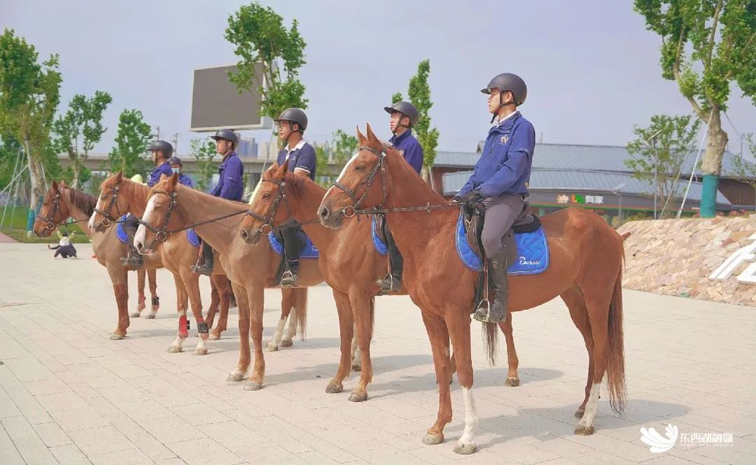 抓住假期“小尾巴”，来梧桐雨撒个欢！