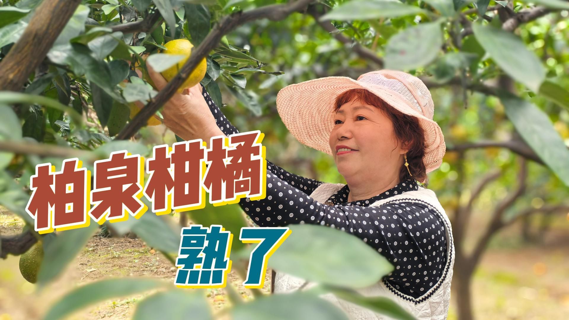 从滞销变“网红” 柏泉有“糖心密码”