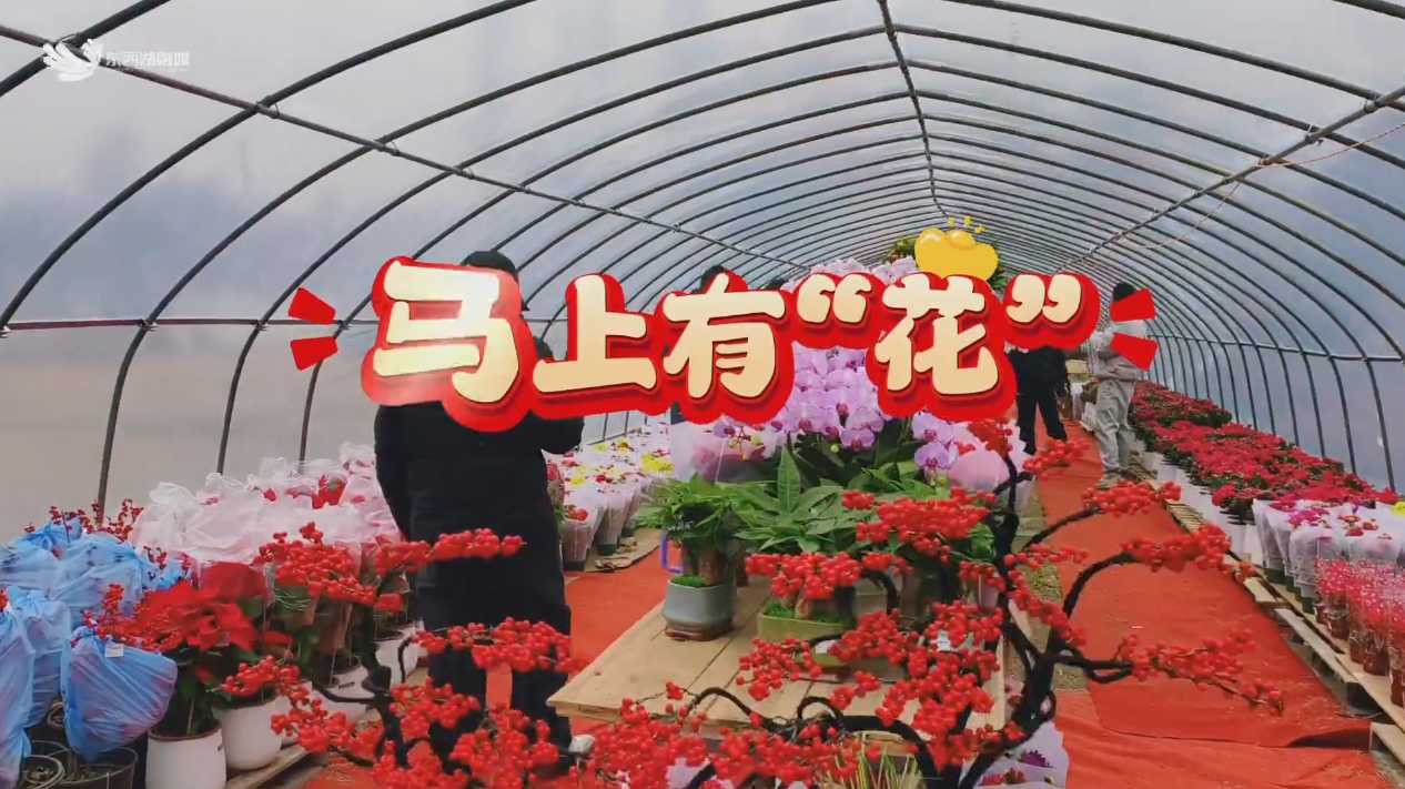 按此导航，马上有花！