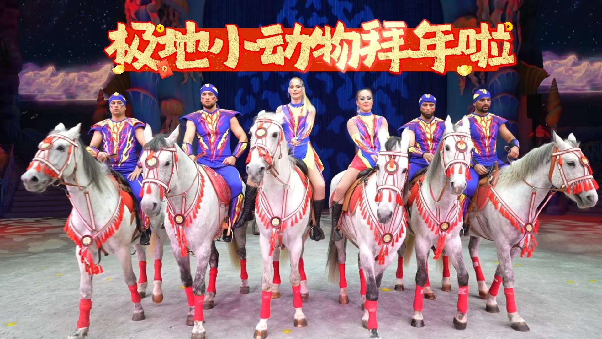 点击接极地萌宠福气，祝您全年好运来！