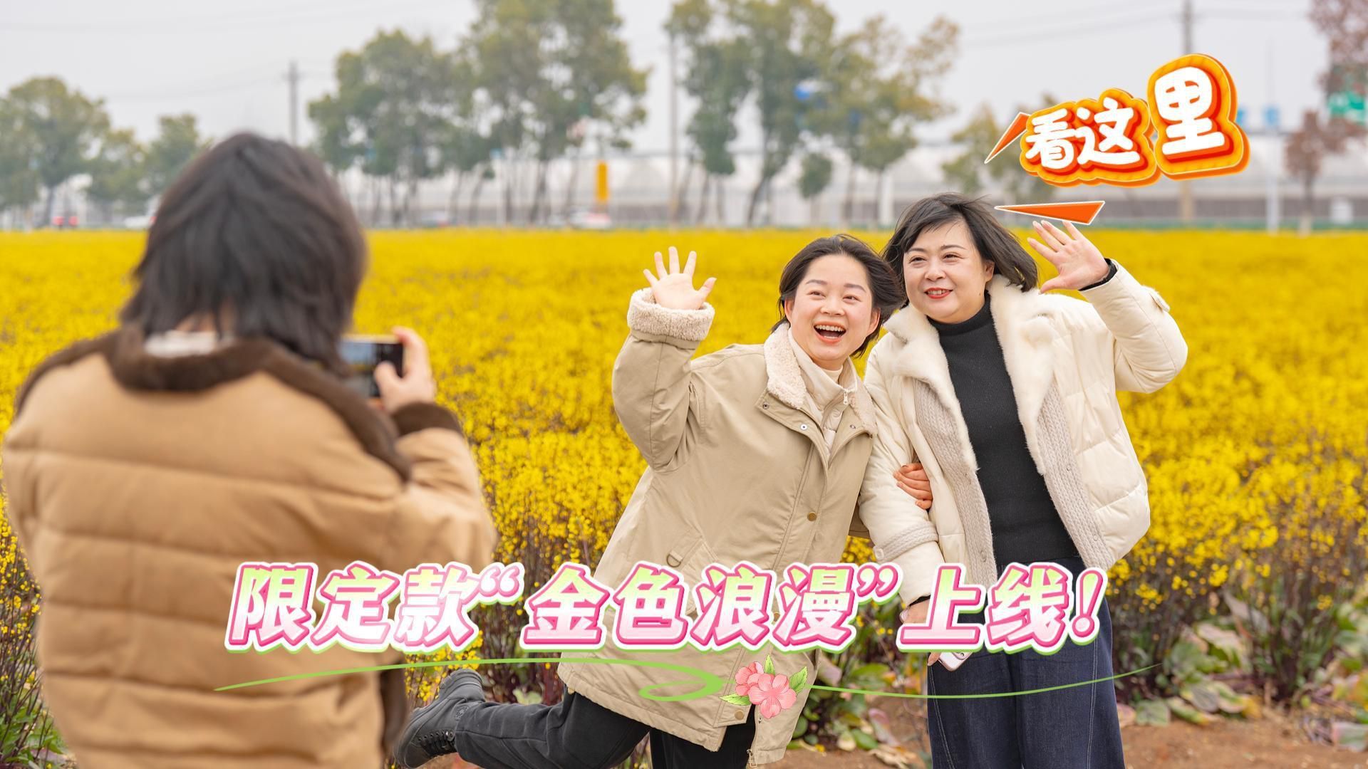 限定款“金色浪漫”上线！