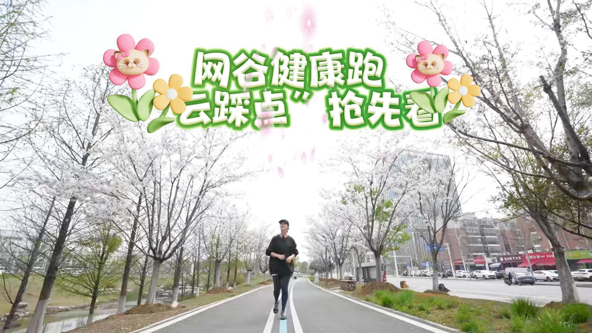 东西湖网谷健康跑 云踩点抢先看