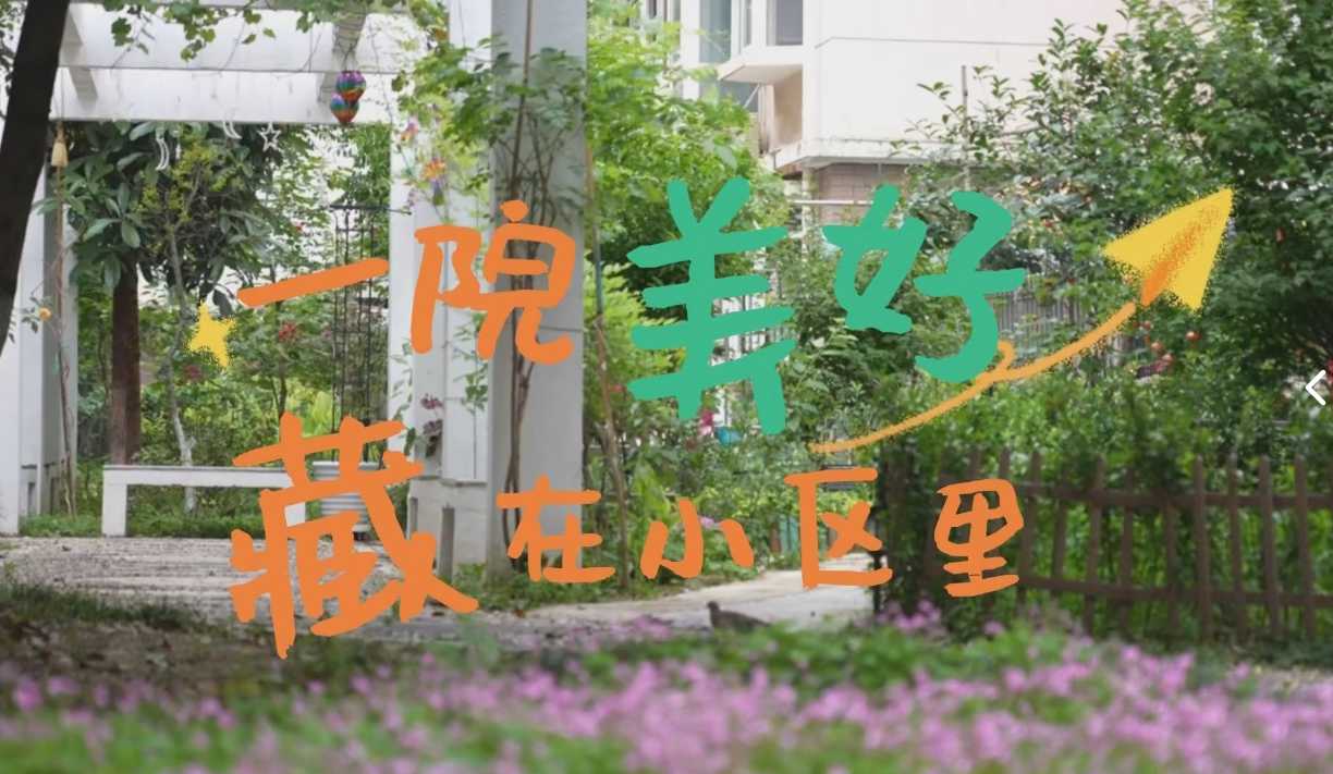一院美好 藏在小区里