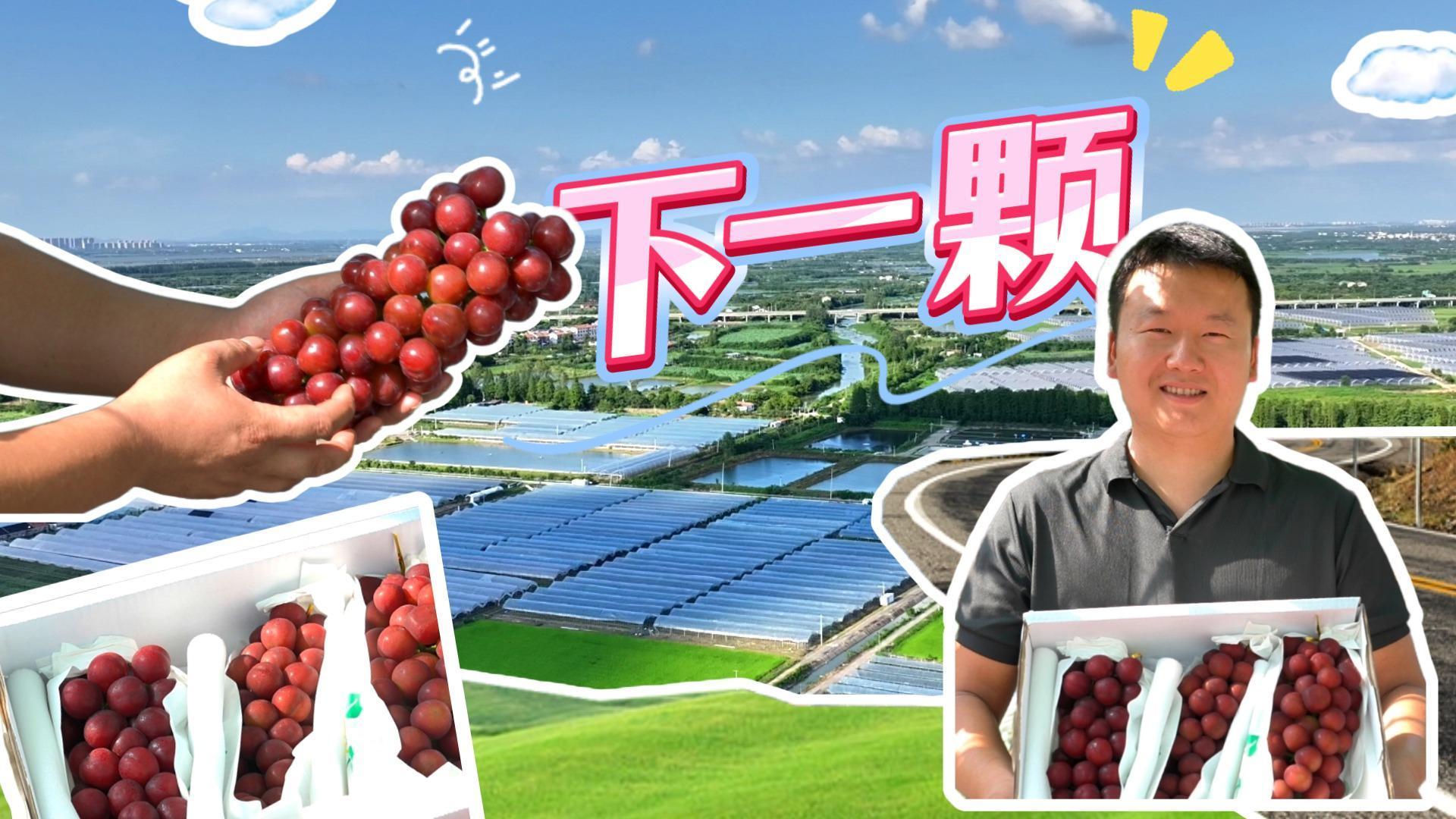 下一颗