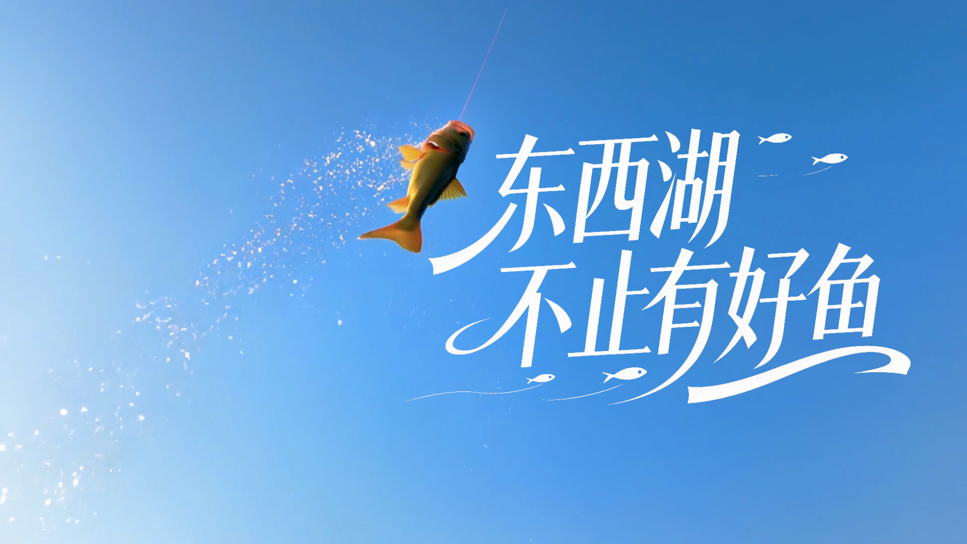 东西湖不止有好鱼