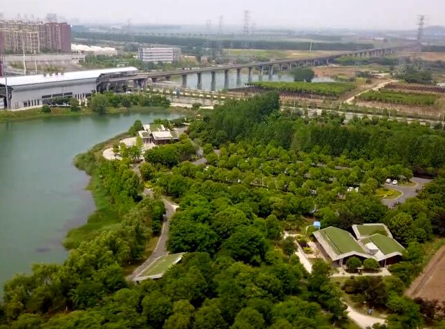 汉孝城际铁路金银潭站，藏了一个绝美小森林