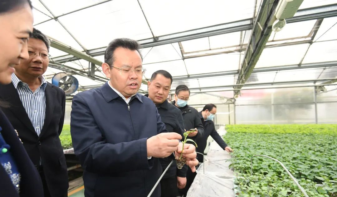 程用文调研春耕备耕工作：抢抓农时做好春耕备耕 推动农业生产开好局起好步