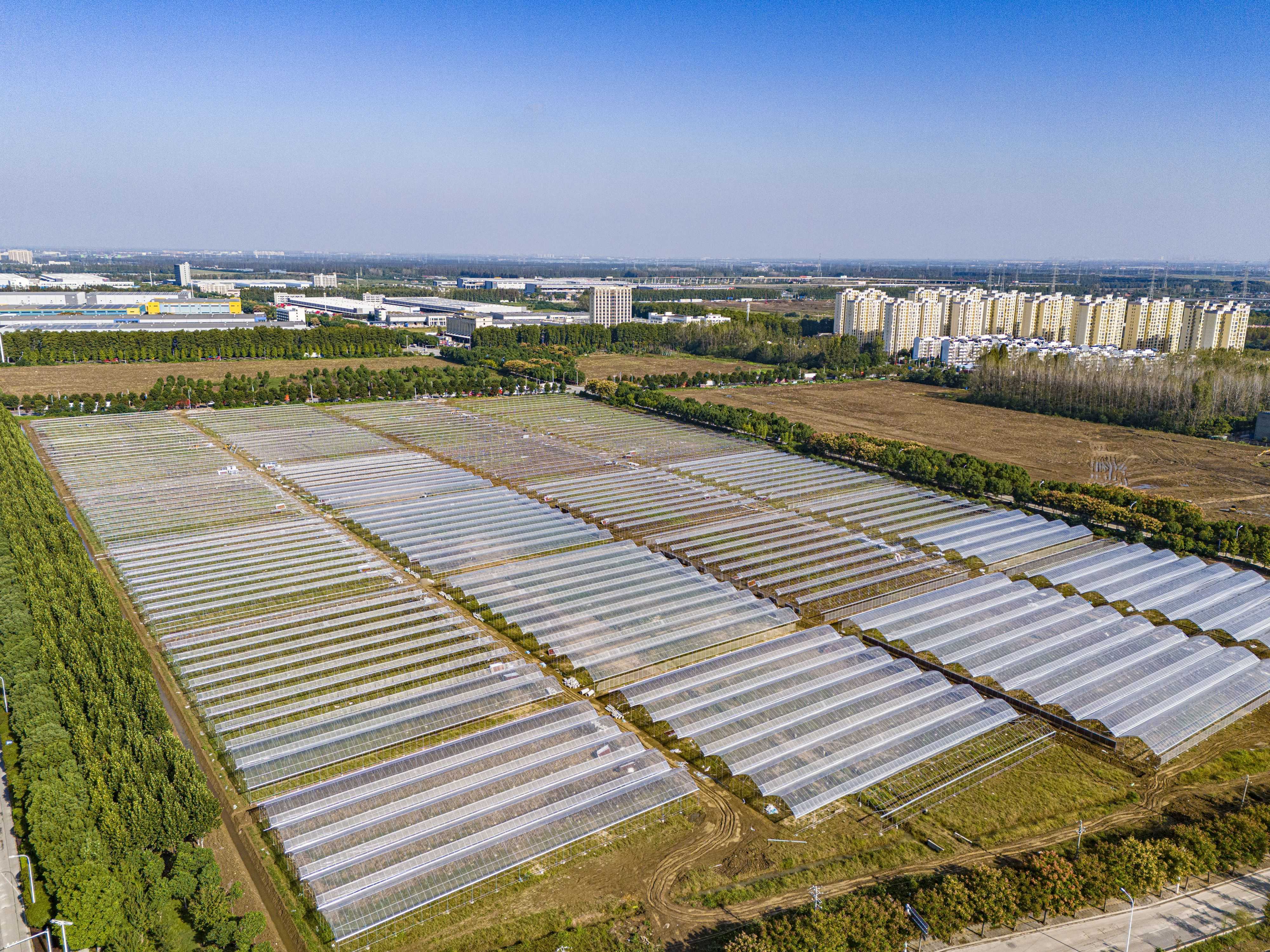 投产在即，亩产值有望暴涨十倍！