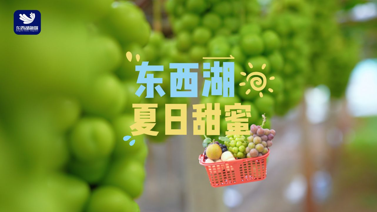 这个夏天，来东西湖把甜蜜打包带走！