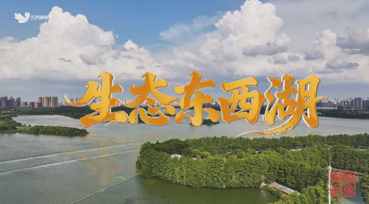 生态东西湖