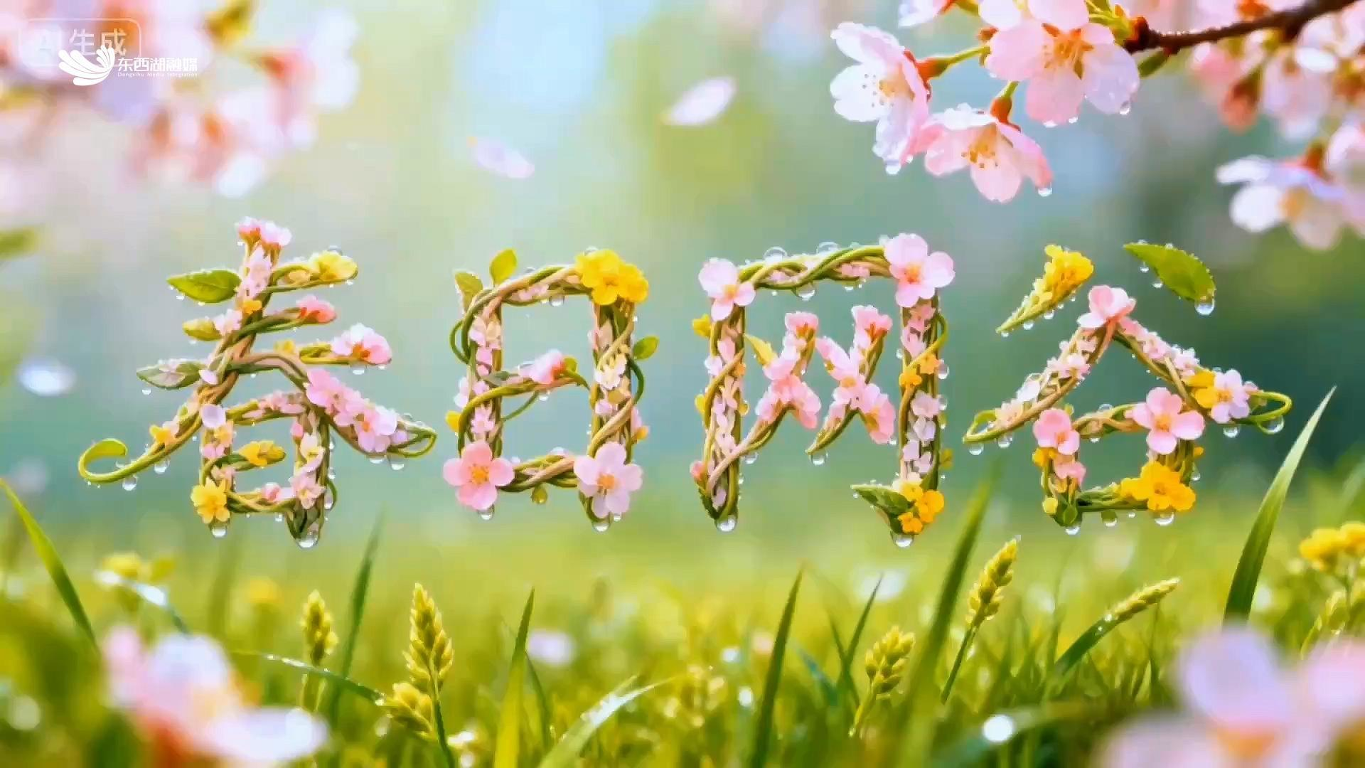 在网谷，与春天一起“向上”