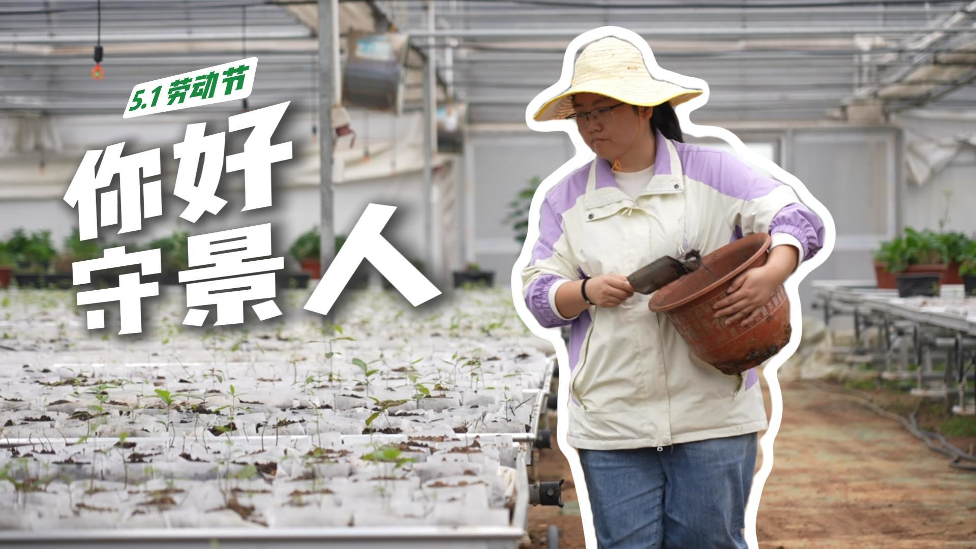 你好守景人之风景园林工程师：心中自有丘壑，妙手织就你眼中的诗与远方