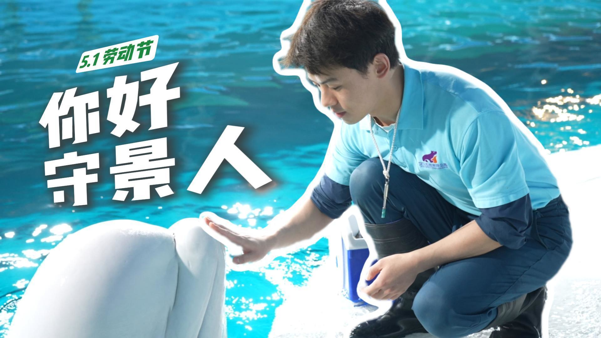 你好守景人之海洋公园驯养员：与鲸同游的守望，用热爱连接深蓝与你我