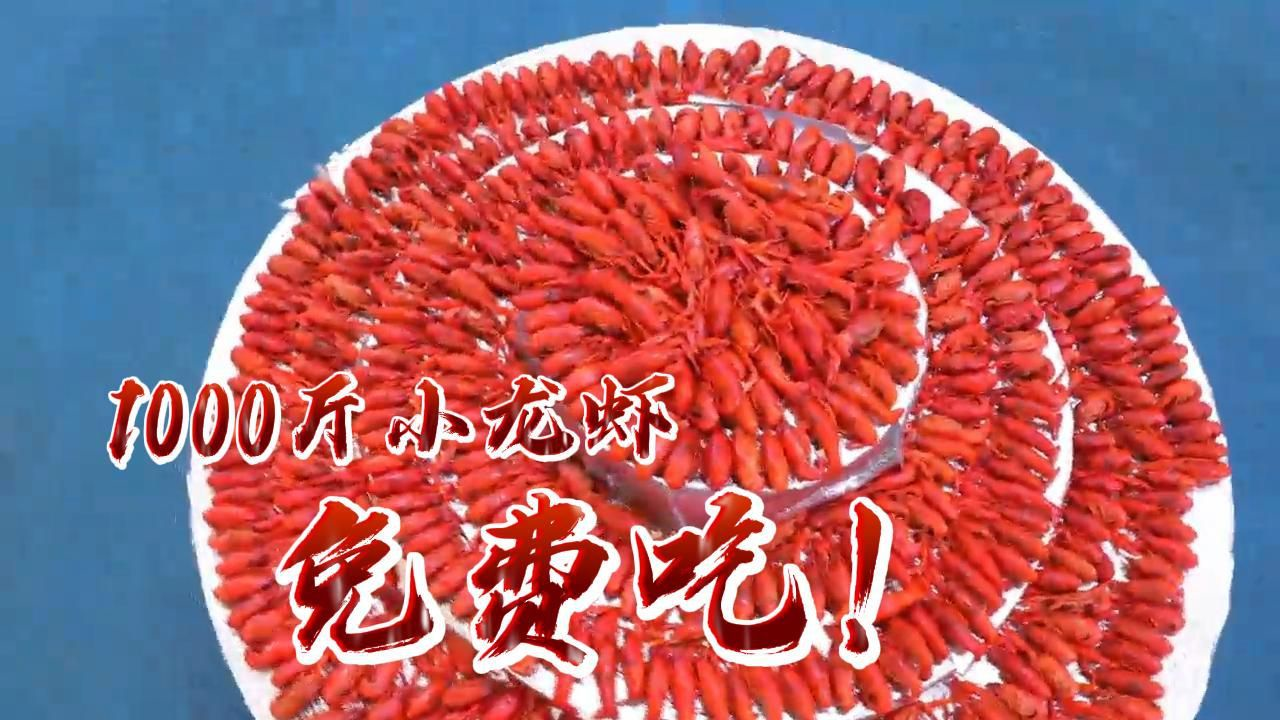 东西湖，1000斤虾子，免费畅吃！