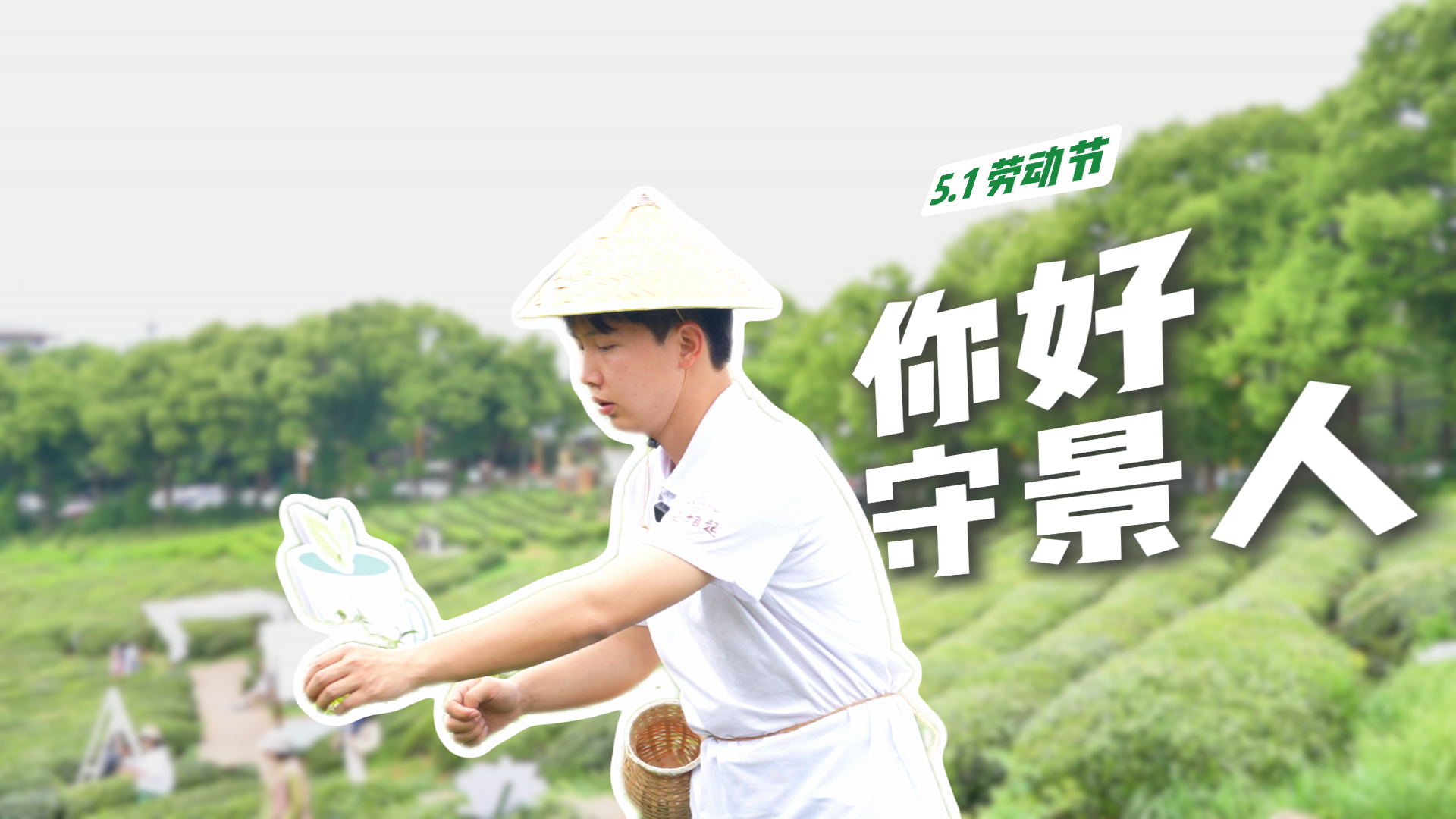 你好守景人之采茶人：指尖撷取春天，躬身守护那一抹山野滋味