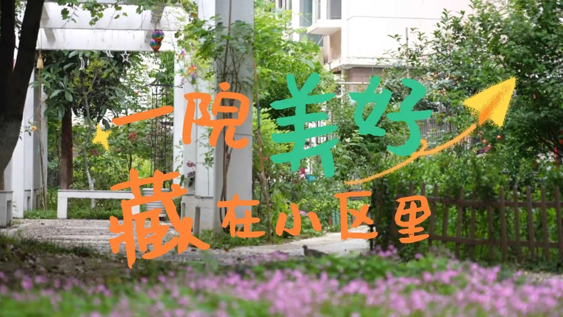 一院美好 藏在小区里