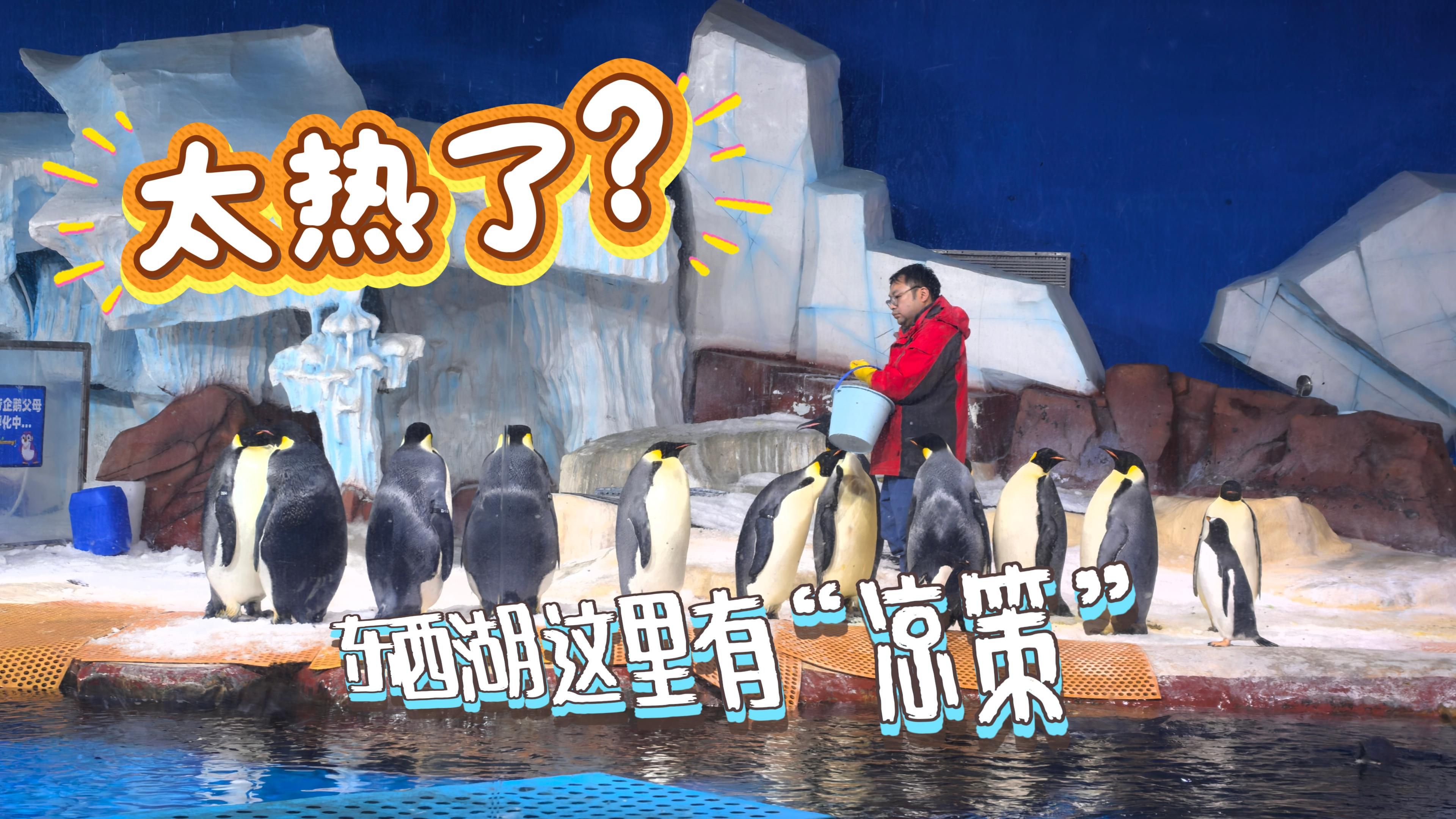 太热？网谷这里有“凉策”！