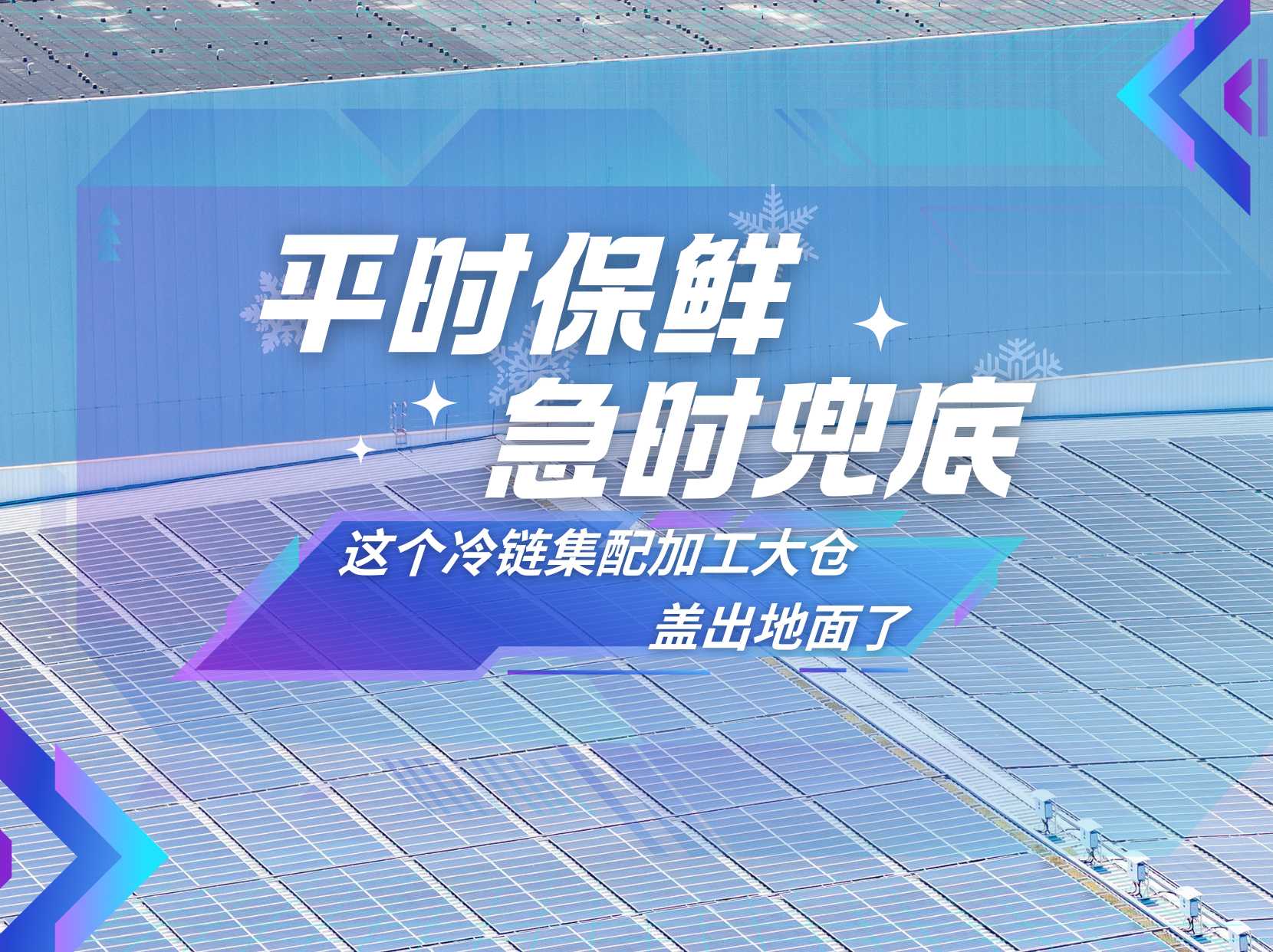 平时保鲜 急时兜底