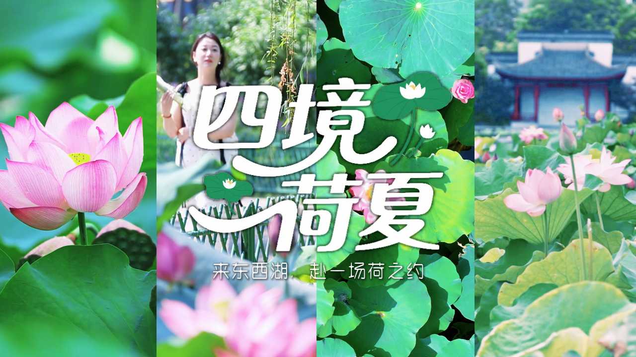 不必赴江南，东西湖藏着4种荷香盛夏！