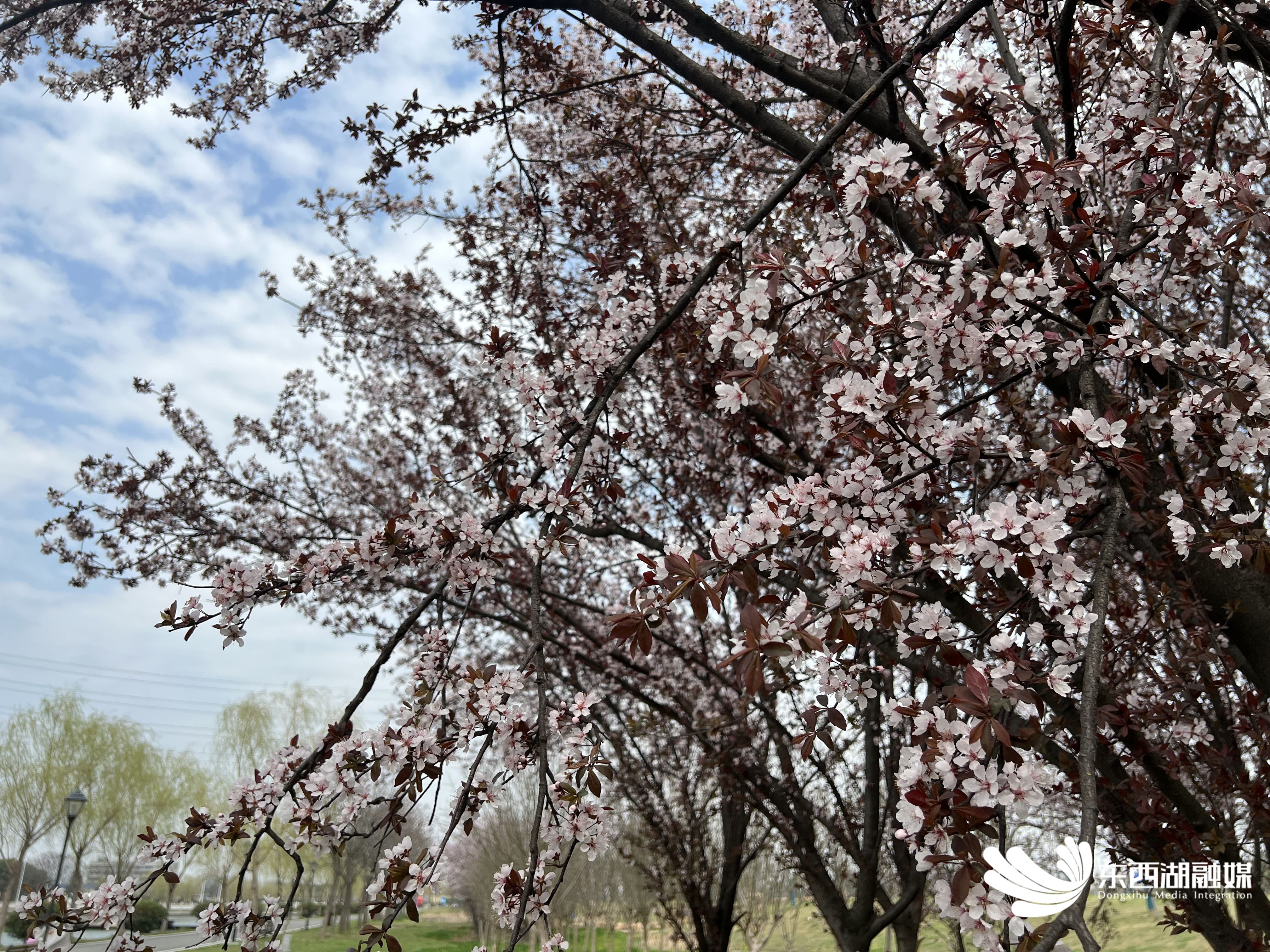 东西湖：Hello~ 欢迎来到花花世界