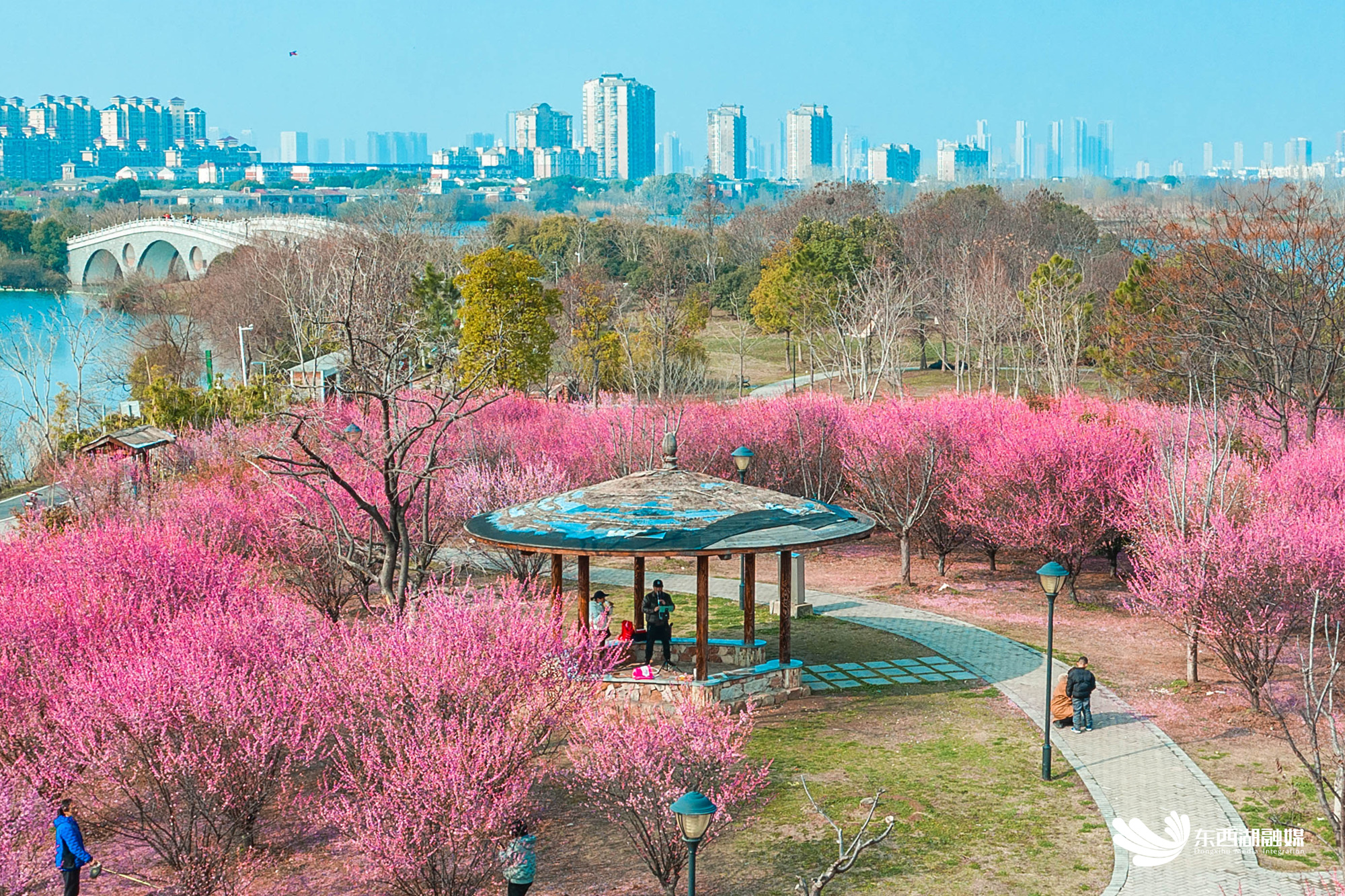 赏 梅 倒 计 时 ！