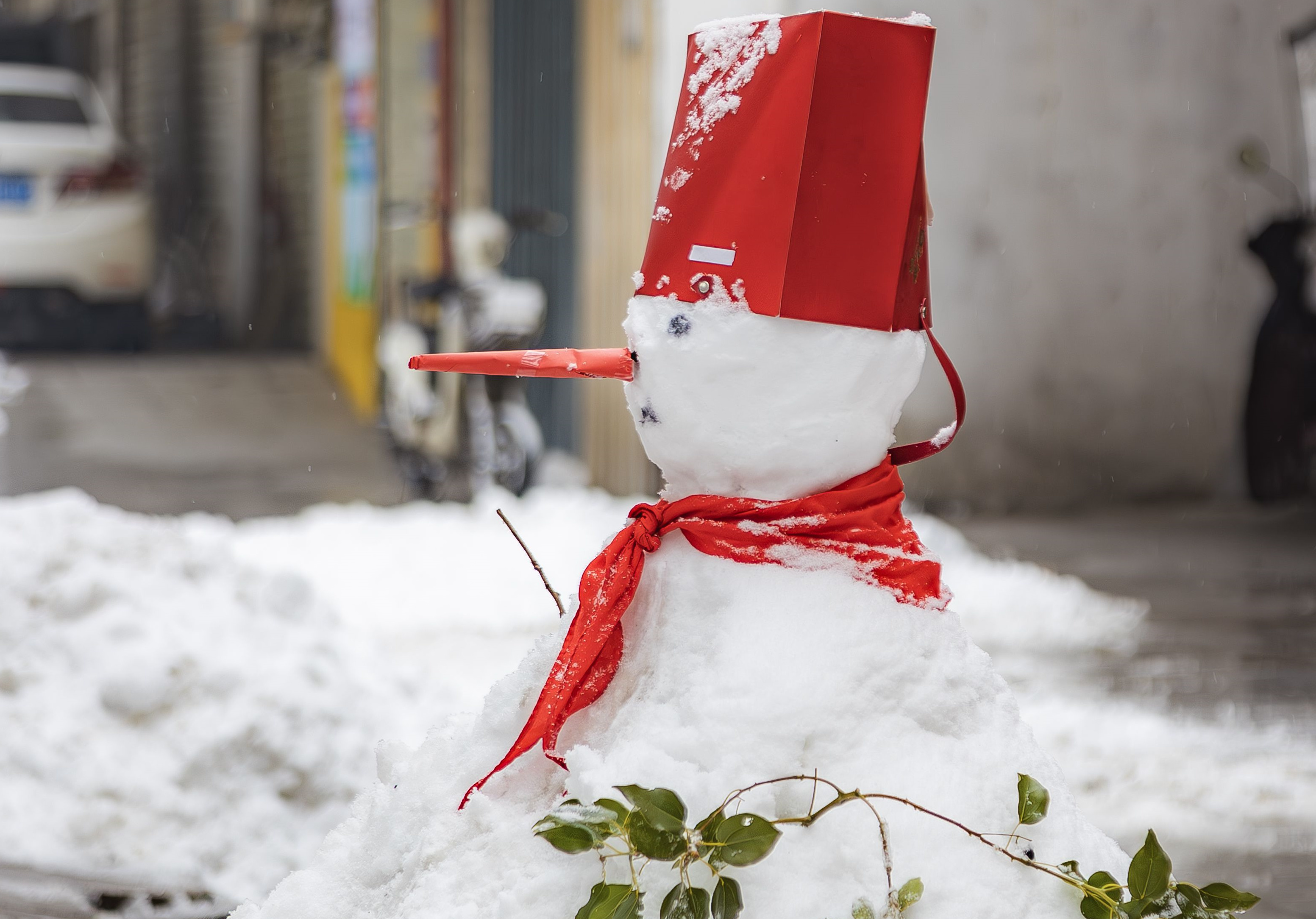 “小土豆”们，这次是真的下雪啦