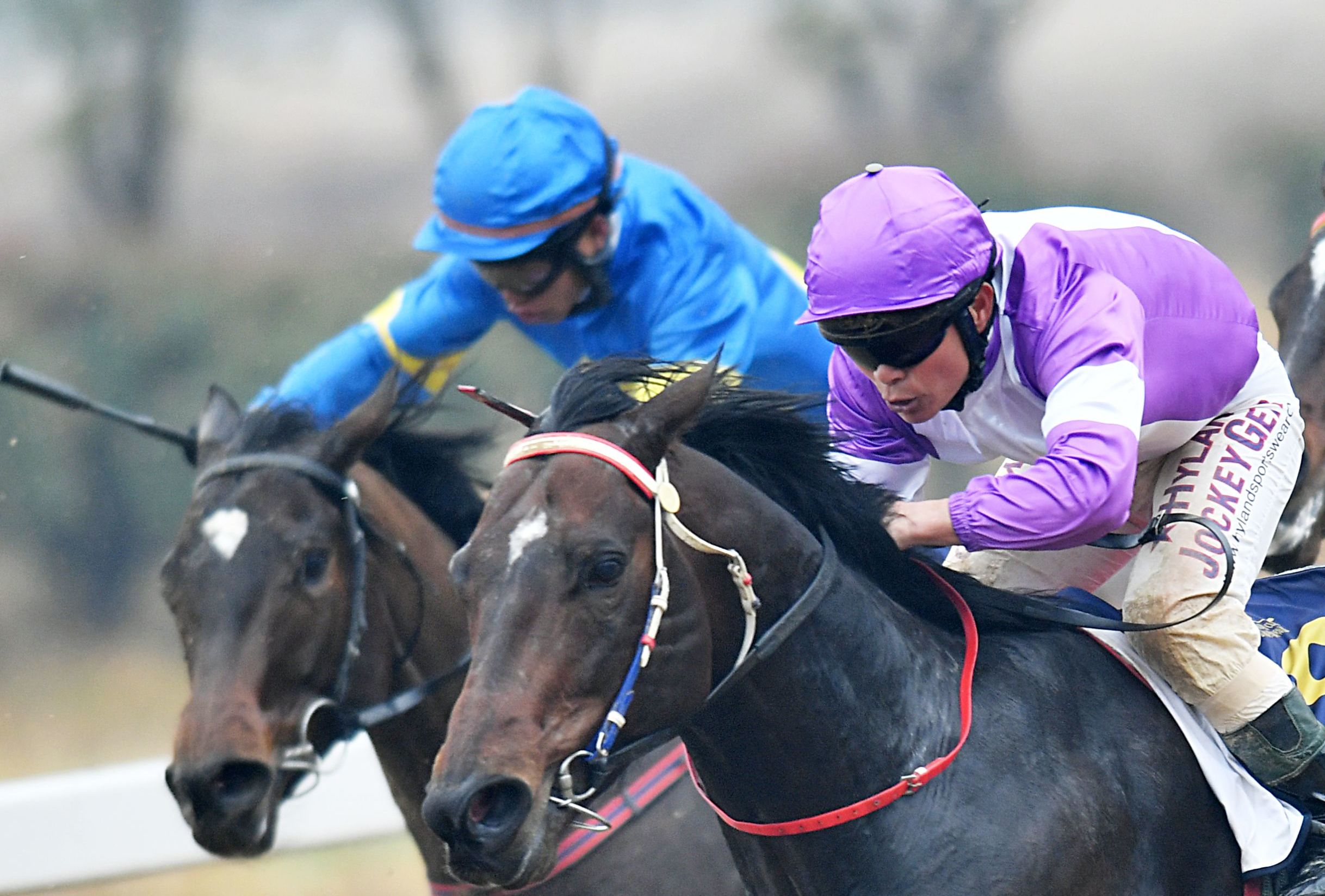 直击！速度与激情