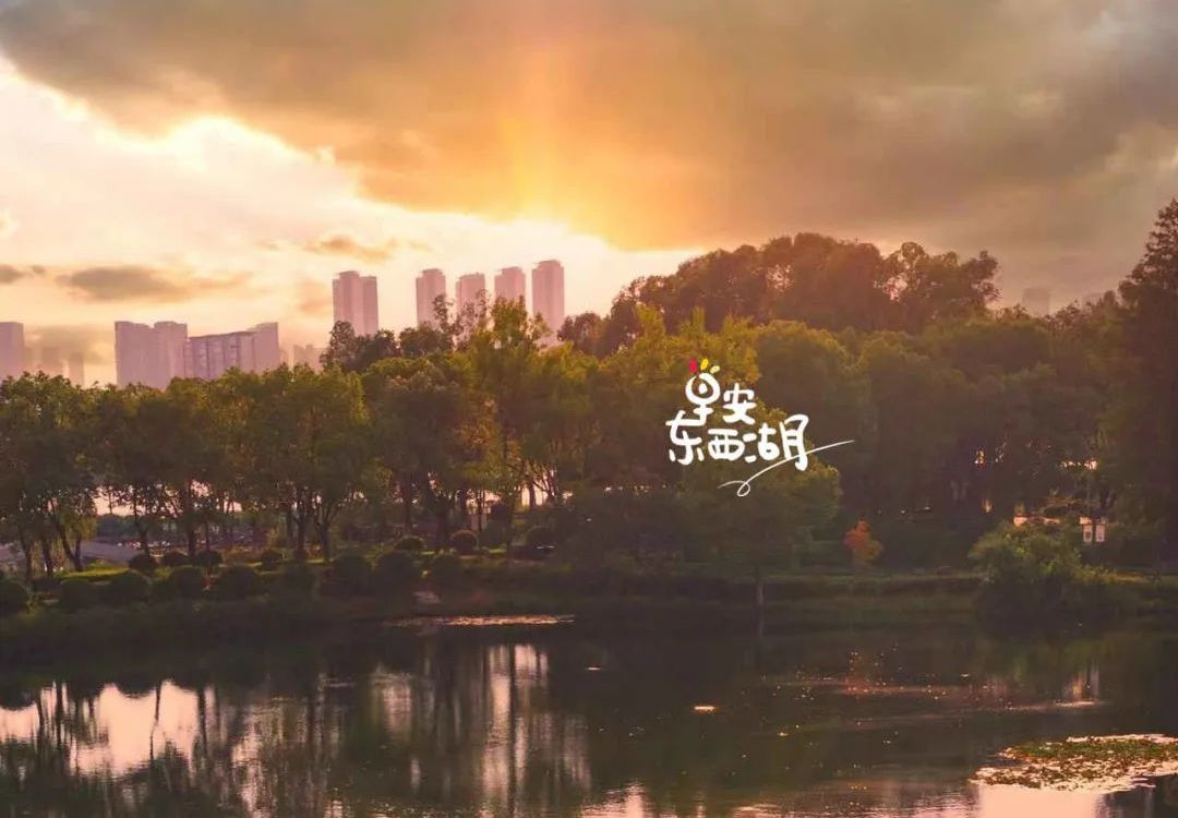 夏云绿影，东西湖的慢时光