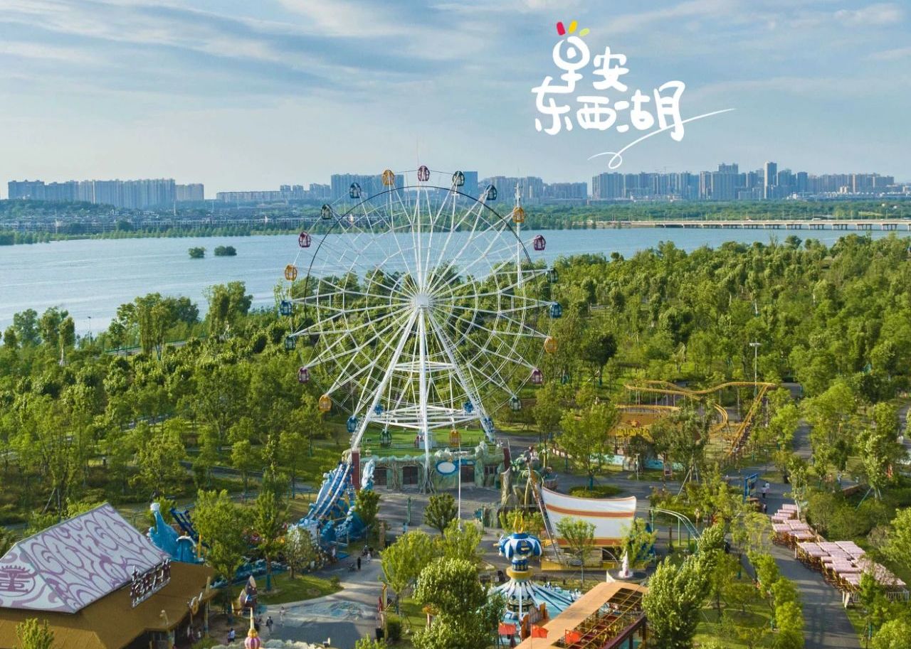 「梧桐雨」的夏天，多的是宝藏时刻