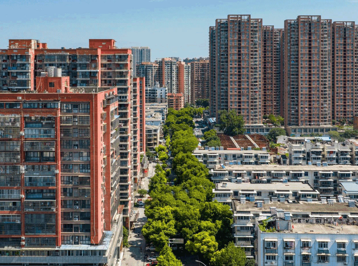 东西湖编号“第一”的马路，是它？