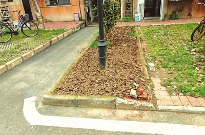 3_1810561_b.jpg