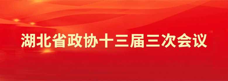 湖北省政协十三届三次会议