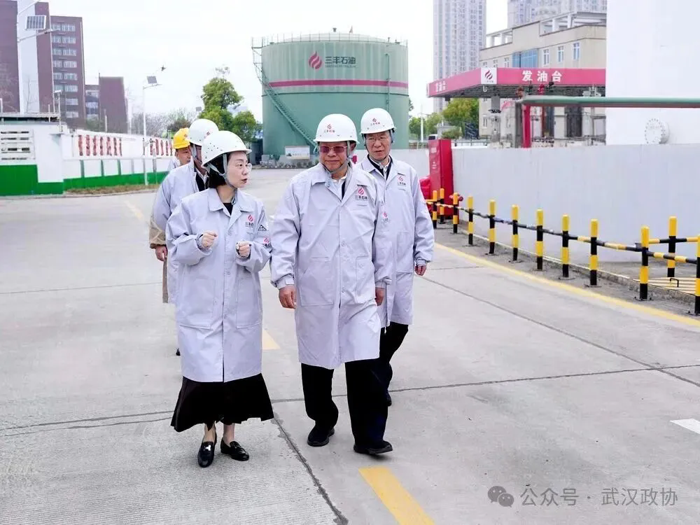 杨智赴武汉市东西湖区调研阳逻港片区建设发展情况